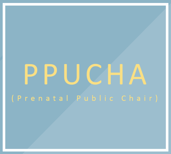 PPUCHA (Prenatal Public Chair Reservation System)